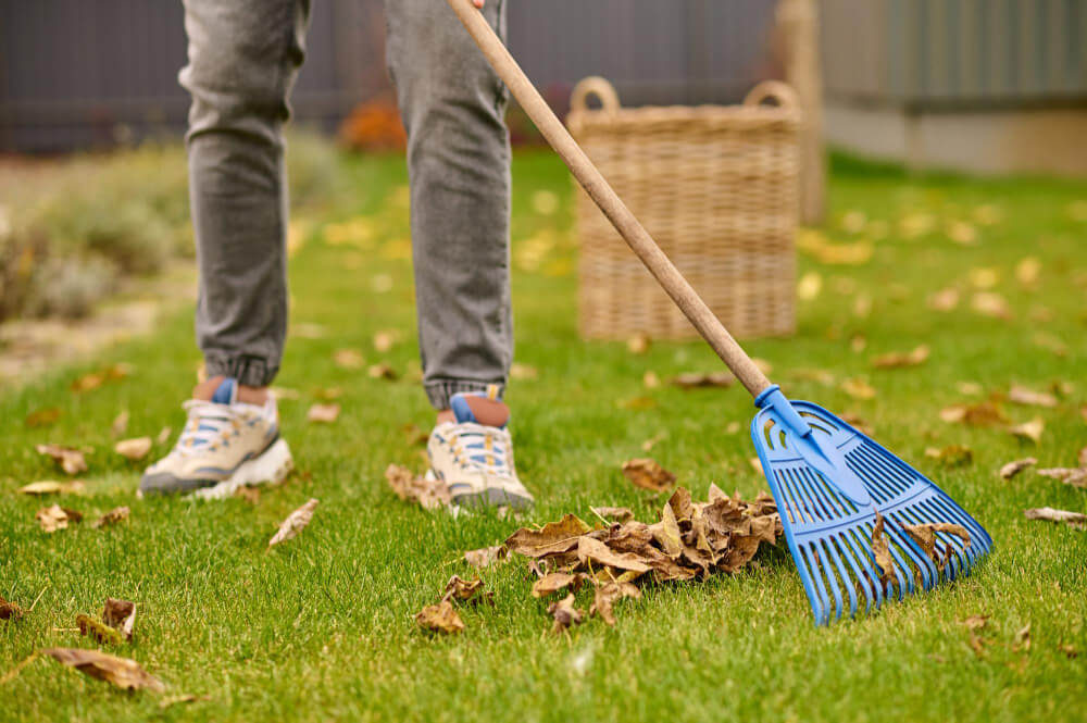outdoor tidying