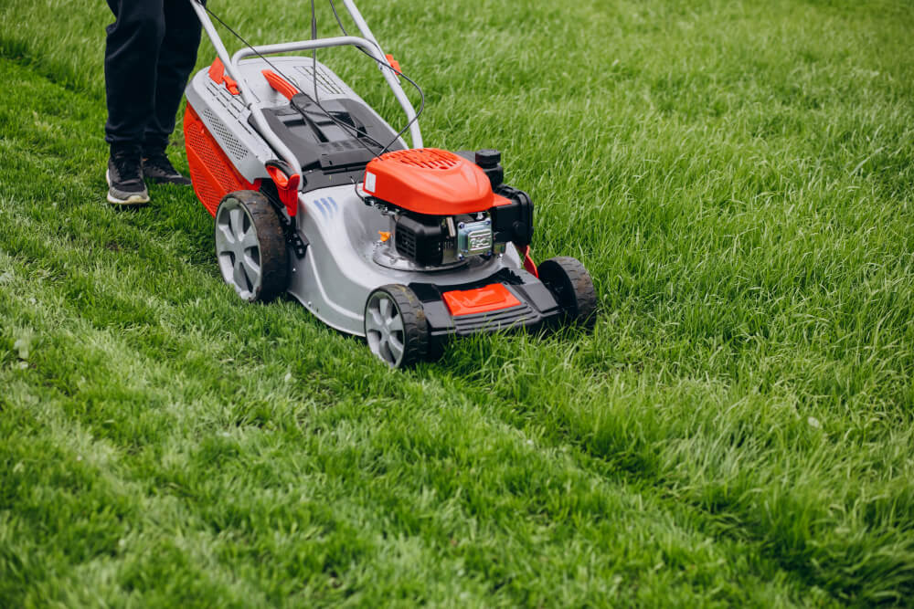 lawn mowing and edging