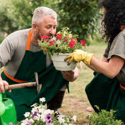 ndis gardening